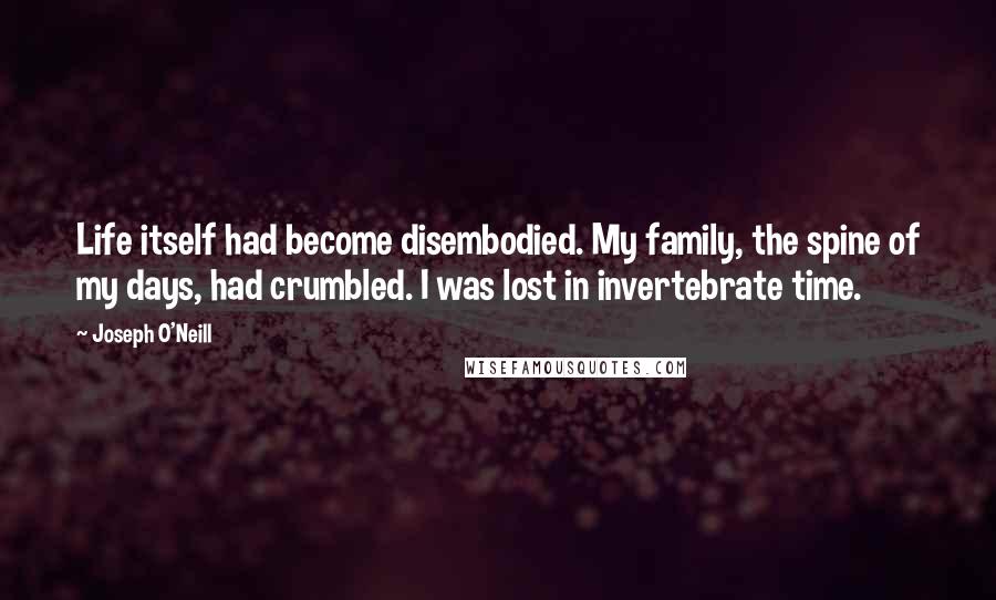 Joseph O'Neill Quotes: Life itself had become disembodied. My family, the spine of my days, had crumbled. I was lost in invertebrate time.