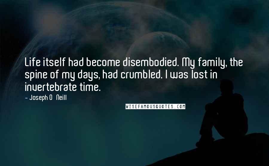 Joseph O'Neill Quotes: Life itself had become disembodied. My family, the spine of my days, had crumbled. I was lost in invertebrate time.