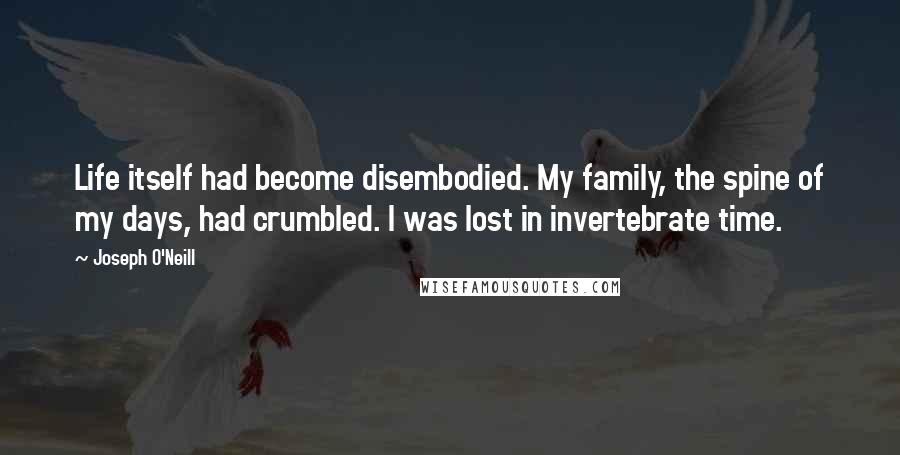 Joseph O'Neill Quotes: Life itself had become disembodied. My family, the spine of my days, had crumbled. I was lost in invertebrate time.