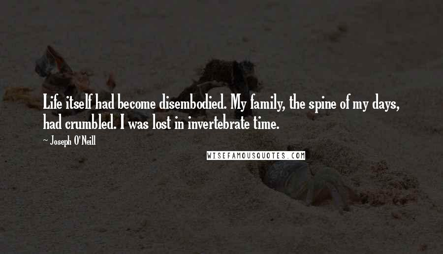 Joseph O'Neill Quotes: Life itself had become disembodied. My family, the spine of my days, had crumbled. I was lost in invertebrate time.