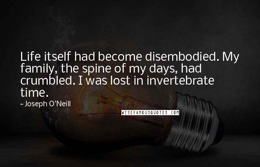 Joseph O'Neill Quotes: Life itself had become disembodied. My family, the spine of my days, had crumbled. I was lost in invertebrate time.
