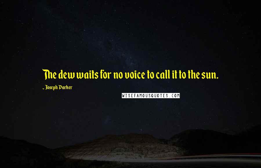 Joseph Parker Quotes: The dew waits for no voice to call it to the sun.