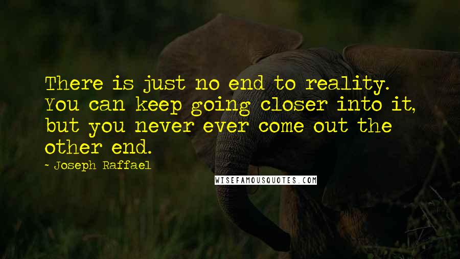 Joseph Raffael Quotes: There is just no end to reality. You can keep going closer into it, but you never ever come out the other end.