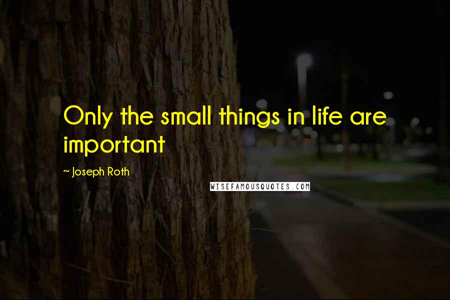 Joseph Roth Quotes: Only the small things in life are important