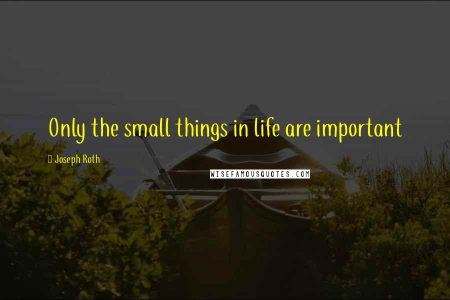 Joseph Roth Quotes: Only the small things in life are important