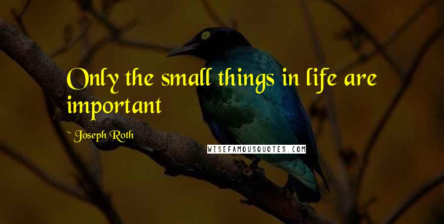 Joseph Roth Quotes: Only the small things in life are important