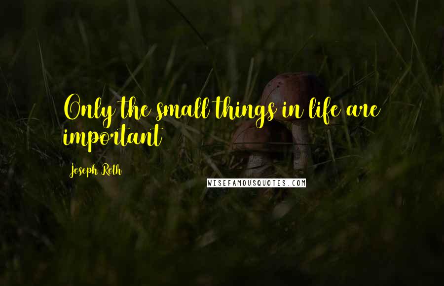 Joseph Roth Quotes: Only the small things in life are important