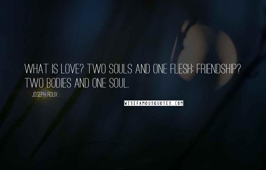 Joseph Roux Quotes: What is love? two souls and one flesh; friendship? two bodies and one soul.