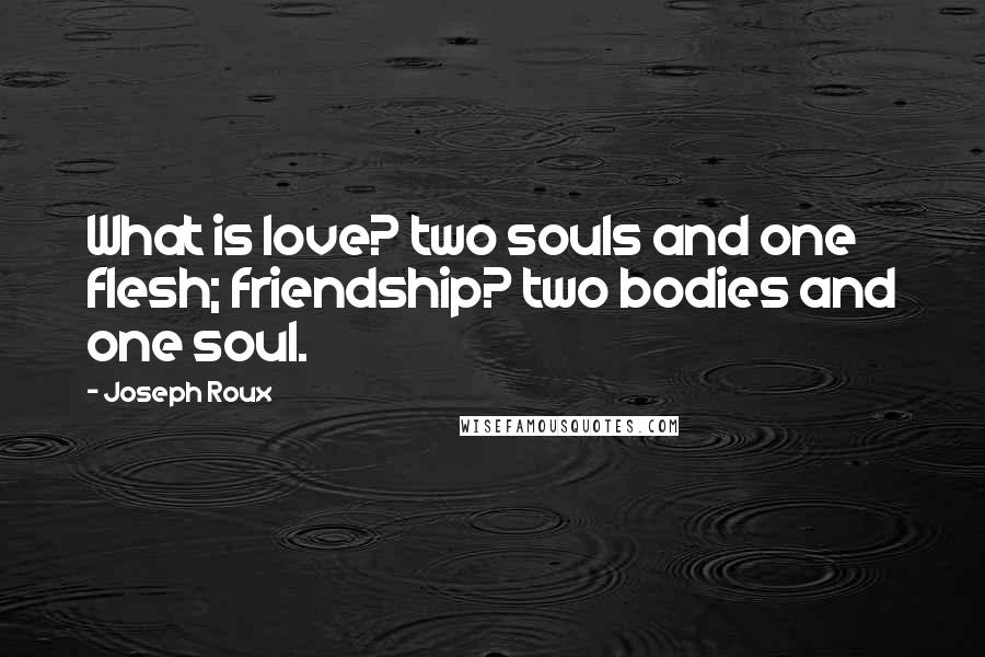 Joseph Roux Quotes: What is love? two souls and one flesh; friendship? two bodies and one soul.