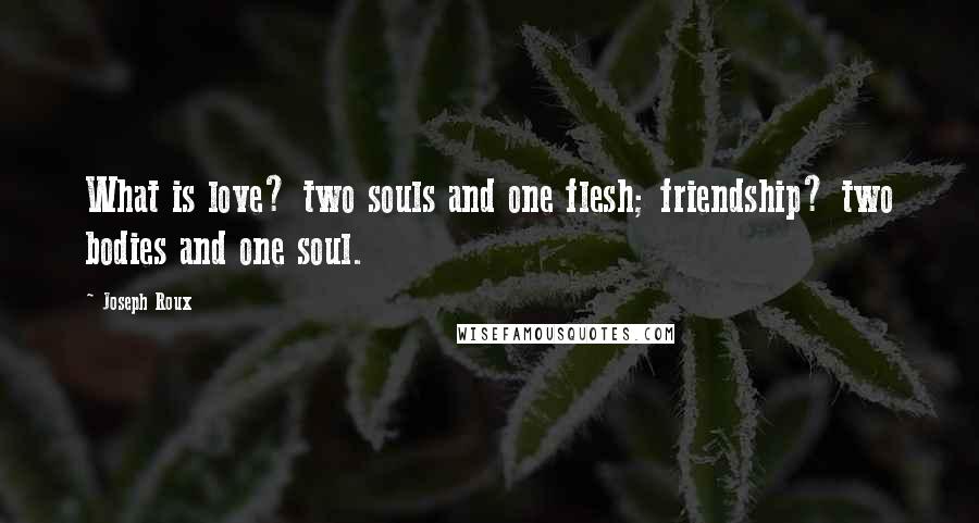 Joseph Roux Quotes: What is love? two souls and one flesh; friendship? two bodies and one soul.