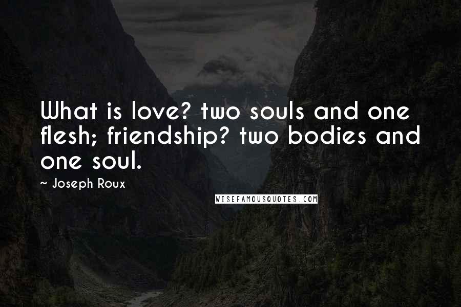 Joseph Roux Quotes: What is love? two souls and one flesh; friendship? two bodies and one soul.