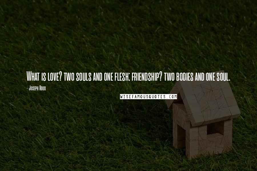 Joseph Roux Quotes: What is love? two souls and one flesh; friendship? two bodies and one soul.