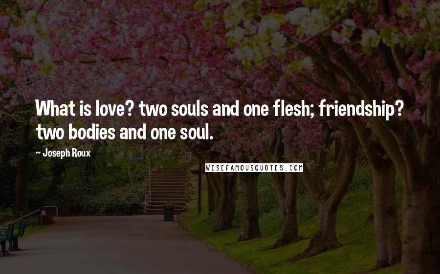 Joseph Roux Quotes: What is love? two souls and one flesh; friendship? two bodies and one soul.