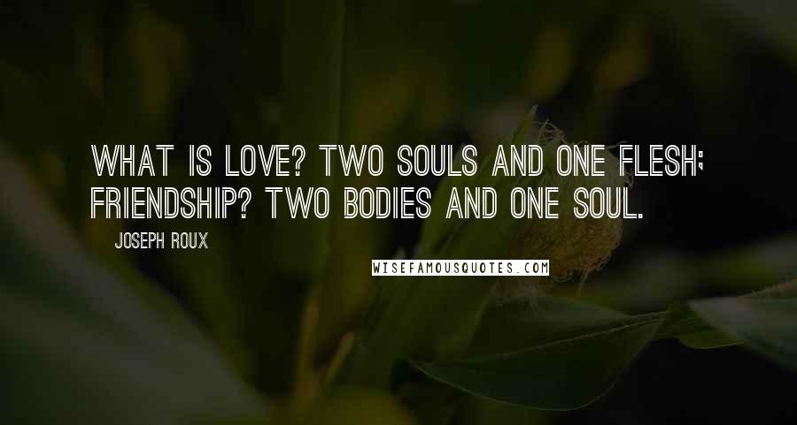 Joseph Roux Quotes: What is love? two souls and one flesh; friendship? two bodies and one soul.