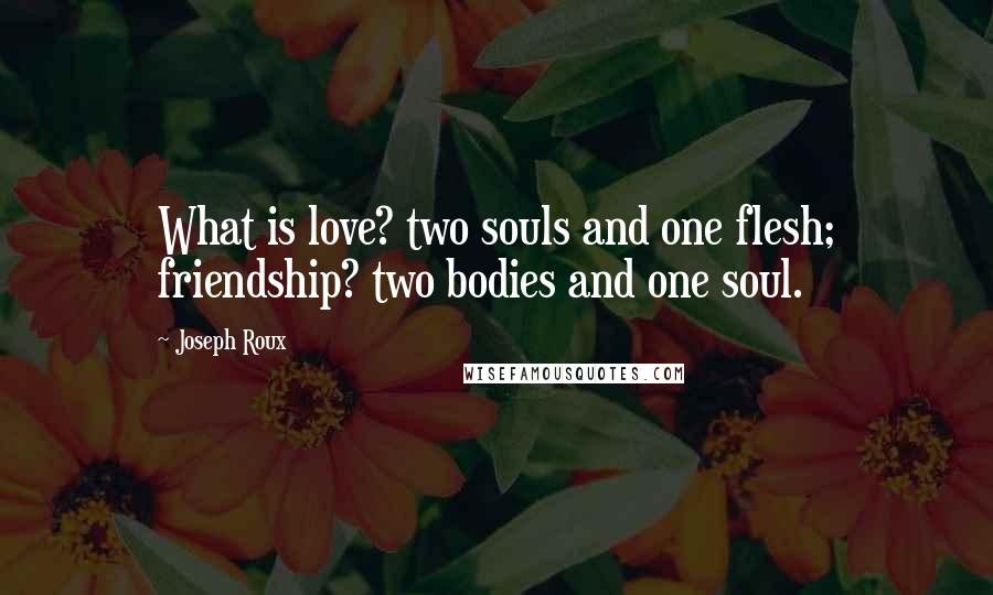 Joseph Roux Quotes: What is love? two souls and one flesh; friendship? two bodies and one soul.