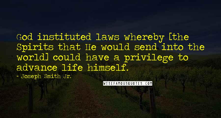 Joseph Smith Jr. Quotes: God instituted laws whereby [the Spirits that He would send into the world] could have a privilege to advance life himself.