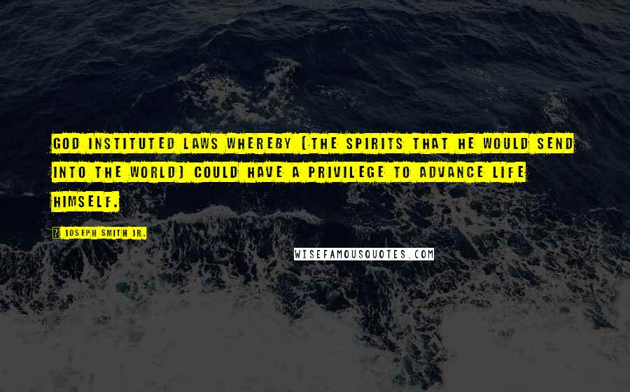 Joseph Smith Jr. Quotes: God instituted laws whereby [the Spirits that He would send into the world] could have a privilege to advance life himself.