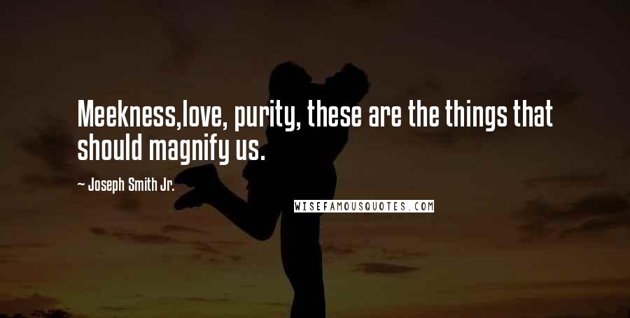 Joseph Smith Jr. Quotes: Meekness,love, purity, these are the things that should magnify us.