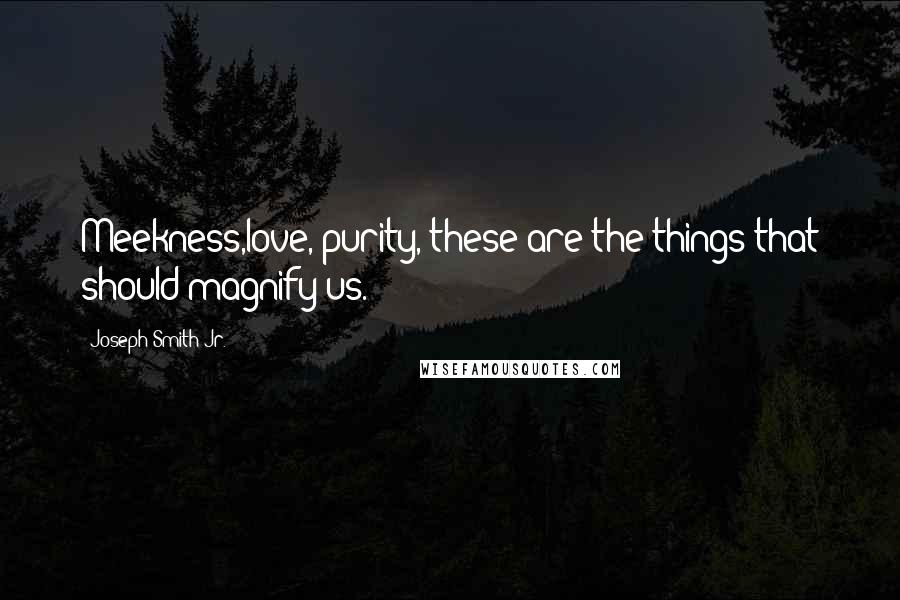 Joseph Smith Jr. Quotes: Meekness,love, purity, these are the things that should magnify us.