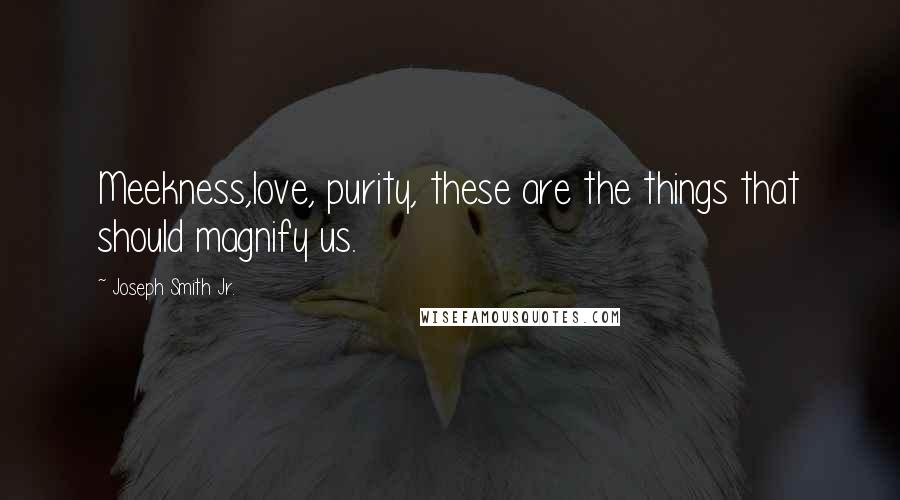 Joseph Smith Jr. Quotes: Meekness,love, purity, these are the things that should magnify us.