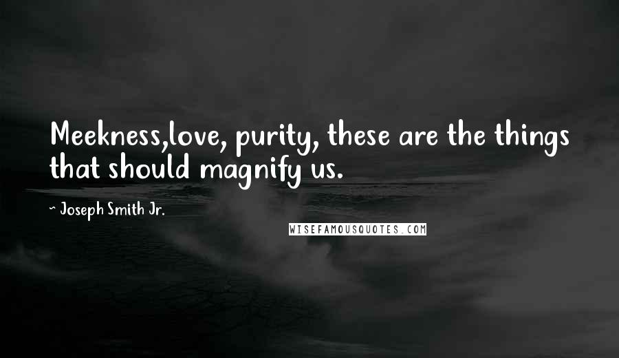 Joseph Smith Jr. Quotes: Meekness,love, purity, these are the things that should magnify us.