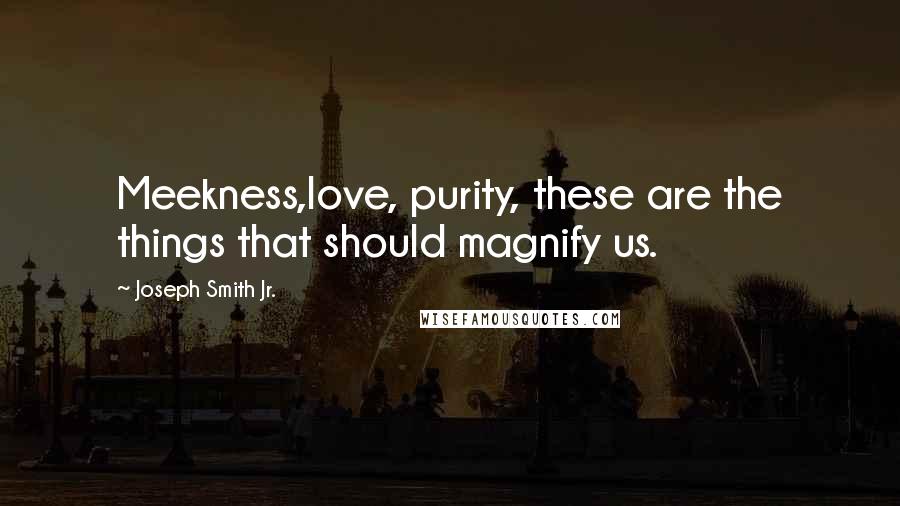 Joseph Smith Jr. Quotes: Meekness,love, purity, these are the things that should magnify us.