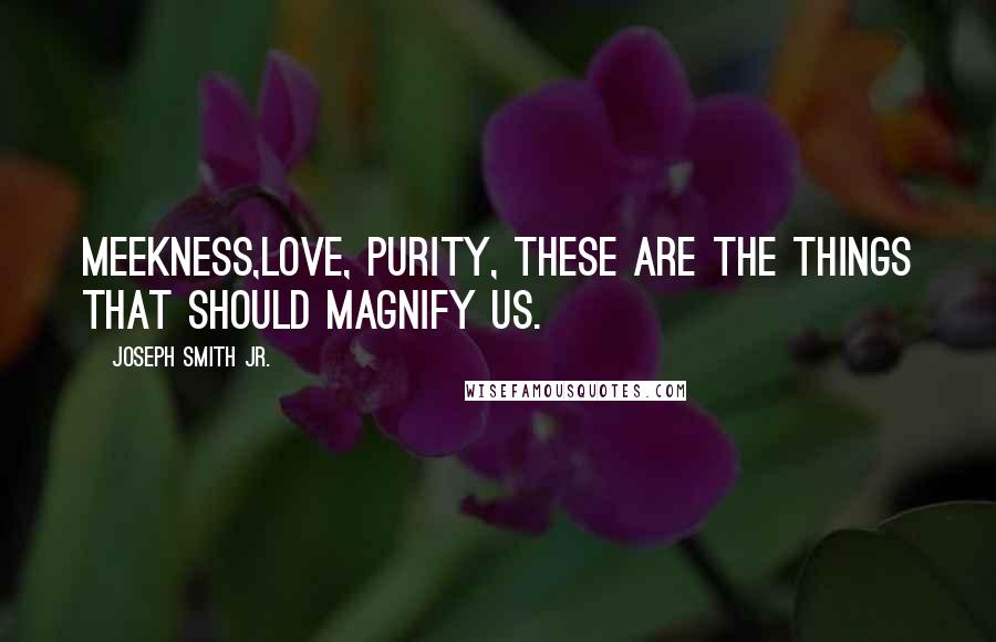 Joseph Smith Jr. Quotes: Meekness,love, purity, these are the things that should magnify us.