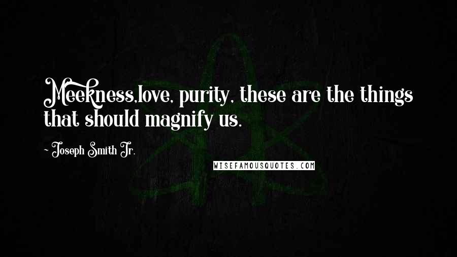 Joseph Smith Jr. Quotes: Meekness,love, purity, these are the things that should magnify us.