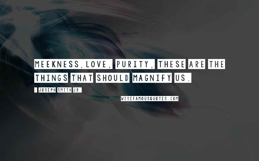 Joseph Smith Jr. Quotes: Meekness,love, purity, these are the things that should magnify us.