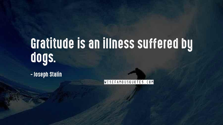 Joseph Stalin Quotes: Gratitude is an illness suffered by dogs.