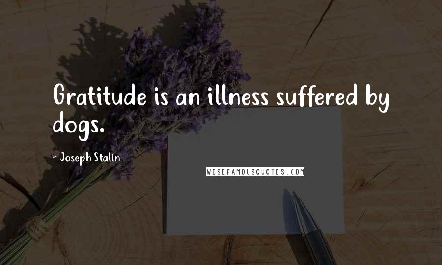 Joseph Stalin Quotes: Gratitude is an illness suffered by dogs.