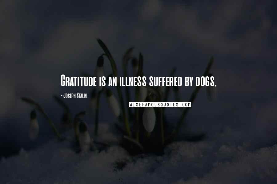 Joseph Stalin Quotes: Gratitude is an illness suffered by dogs.