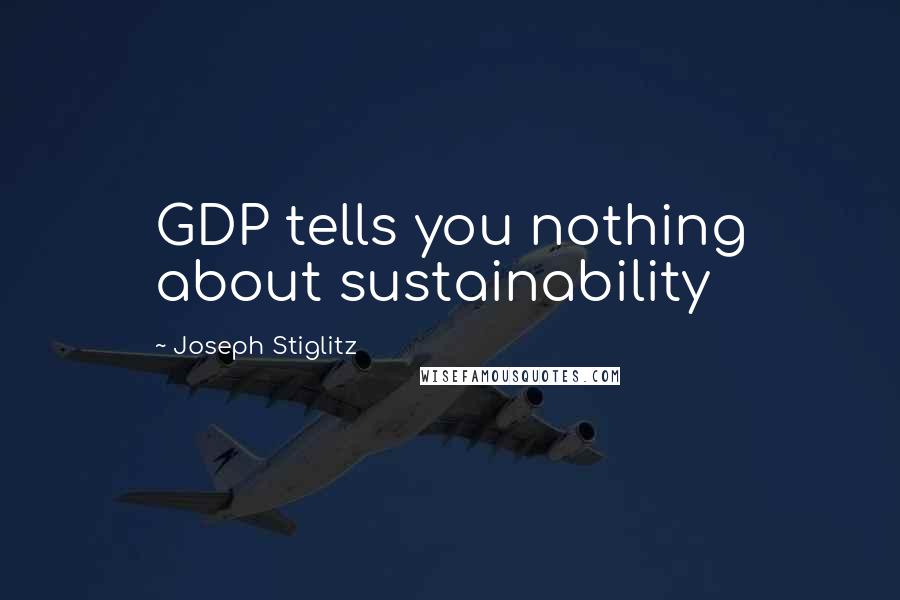 Joseph Stiglitz Quotes: GDP tells you nothing about sustainability
