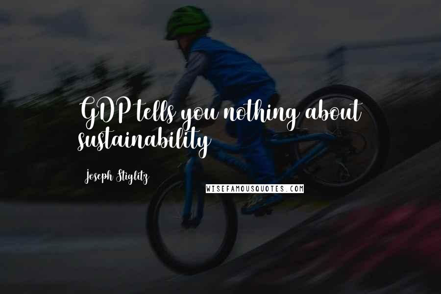 Joseph Stiglitz Quotes: GDP tells you nothing about sustainability