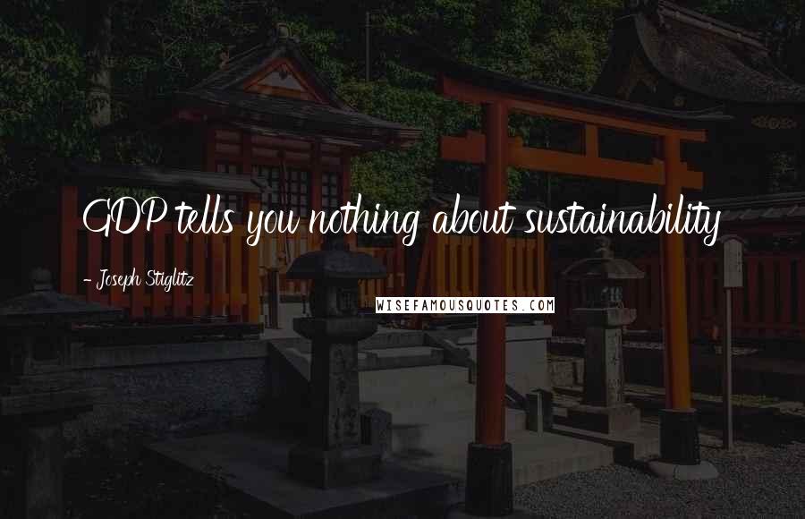 Joseph Stiglitz Quotes: GDP tells you nothing about sustainability