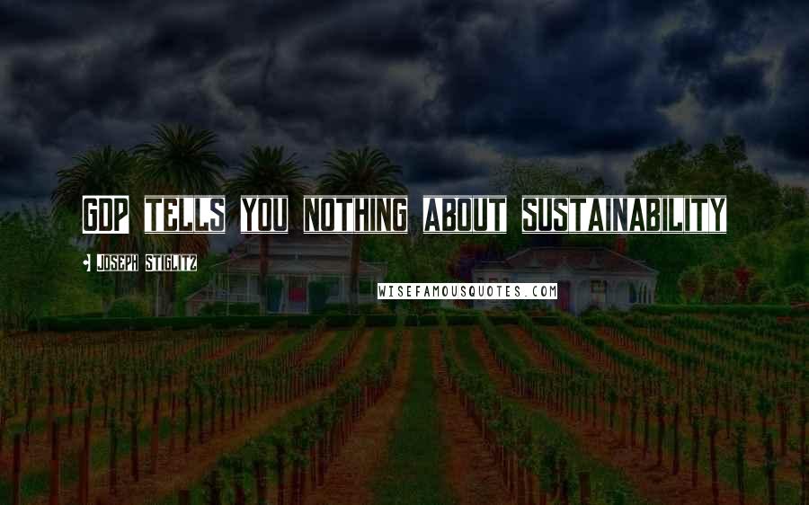 Joseph Stiglitz Quotes: GDP tells you nothing about sustainability