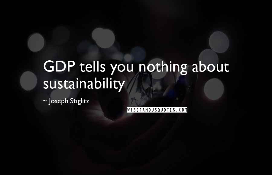Joseph Stiglitz Quotes: GDP tells you nothing about sustainability