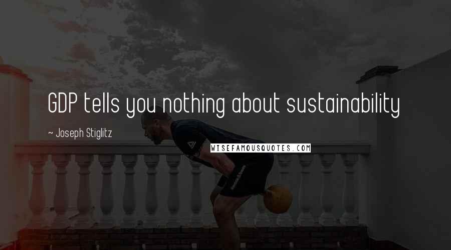 Joseph Stiglitz Quotes: GDP tells you nothing about sustainability