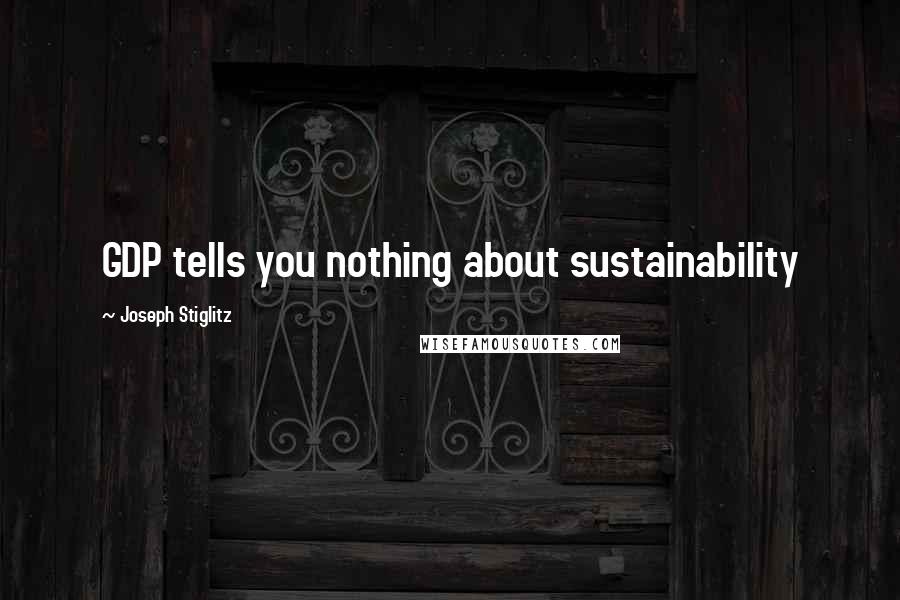 Joseph Stiglitz Quotes: GDP tells you nothing about sustainability