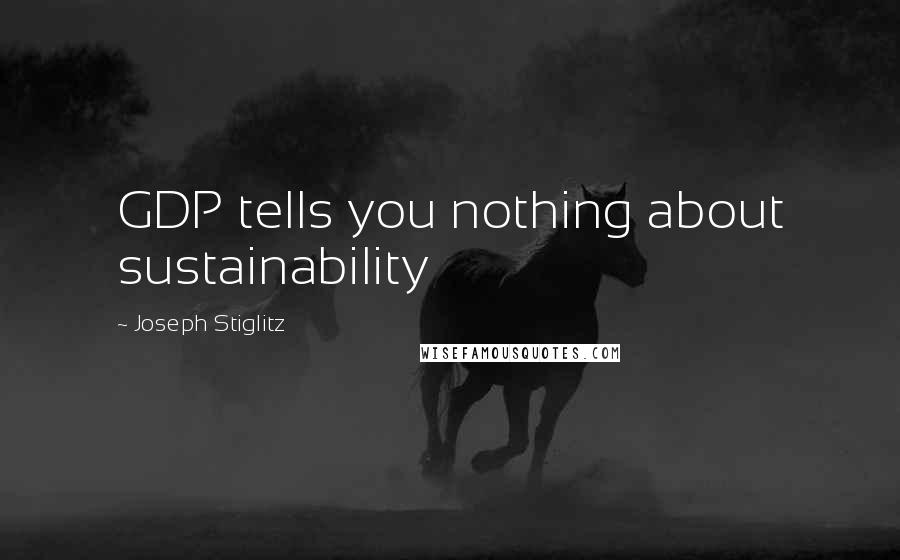 Joseph Stiglitz Quotes: GDP tells you nothing about sustainability