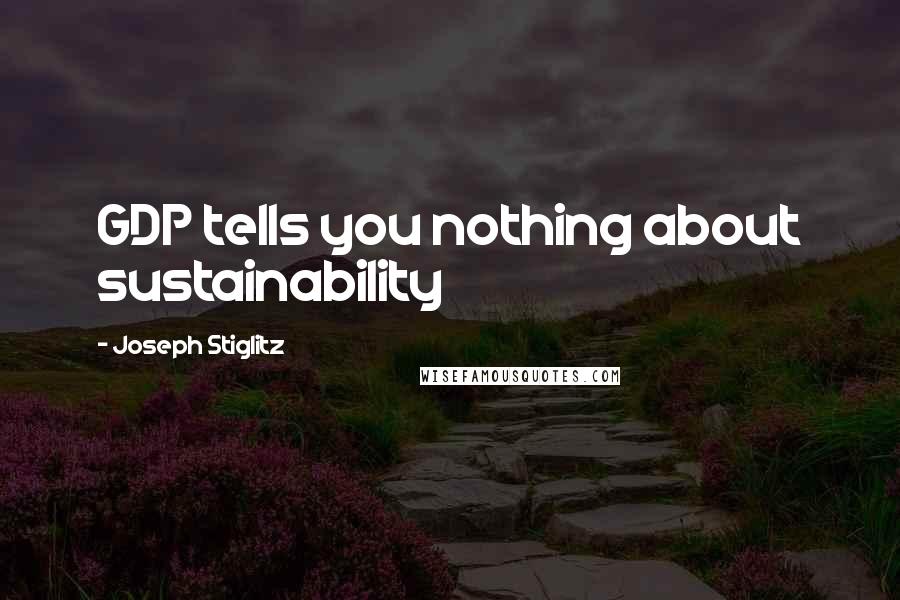 Joseph Stiglitz Quotes: GDP tells you nothing about sustainability