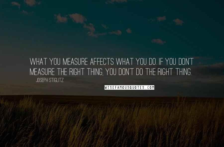 Joseph Stiglitz Quotes: What you measure affects what you do. If you don't measure the right thing, you don't do the right thing.