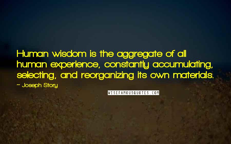 Joseph Story Quotes: Human wisdom is the aggregate of all human experience, constantly accumulating, selecting, and reorganizing its own materials.