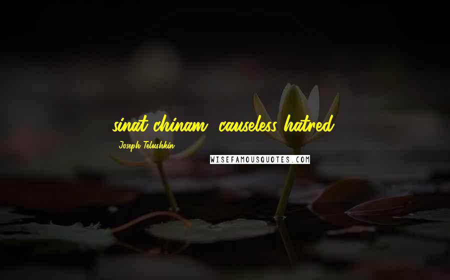 Joseph Telushkin Quotes: sinat chinam, causeless hatred,