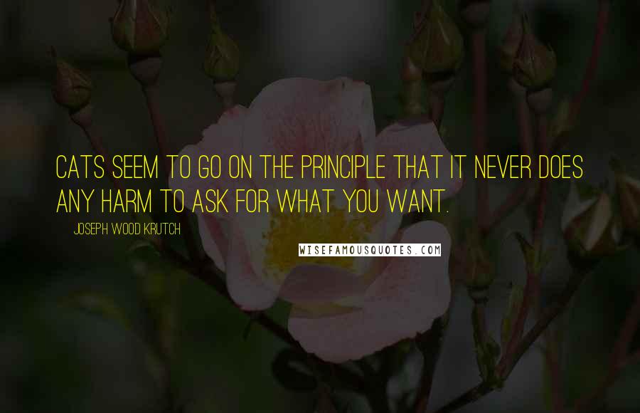 Joseph Wood Krutch Quotes: Cats seem to go on the principle that it never does any harm to ask for what you want.