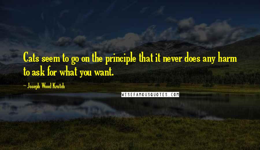 Joseph Wood Krutch Quotes: Cats seem to go on the principle that it never does any harm to ask for what you want.