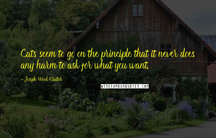 Joseph Wood Krutch Quotes: Cats seem to go on the principle that it never does any harm to ask for what you want.