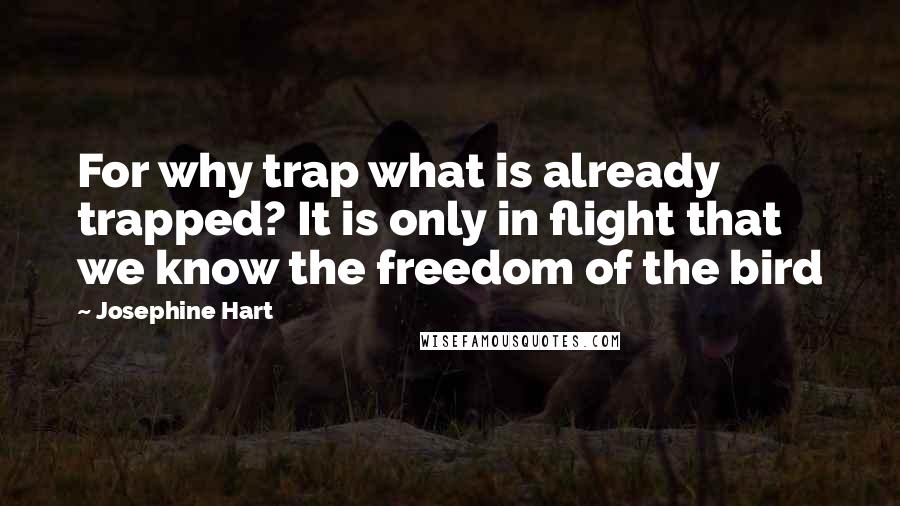 Josephine Hart Quotes: For why trap what is already trapped? It is only in flight that we know the freedom of the bird