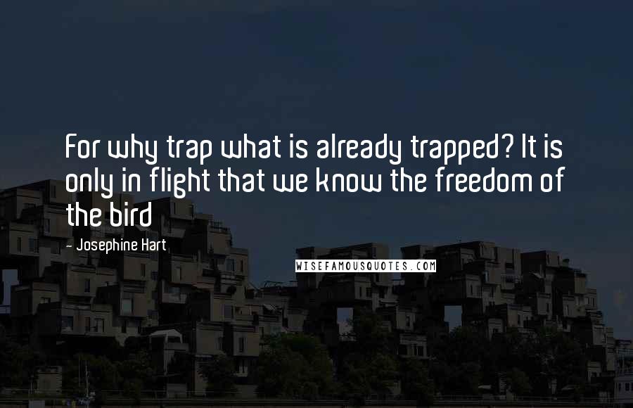 Josephine Hart Quotes: For why trap what is already trapped? It is only in flight that we know the freedom of the bird