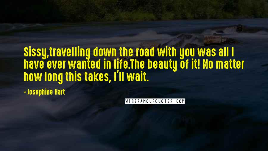 Josephine Hart Quotes: Sissy,travelling down the road with you was all I have ever wanted in life.The beauty of it! No matter how long this takes, I'll wait.